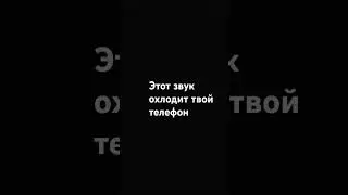 24 июня 2055 год