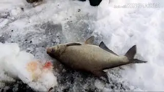 Ловим на шарик.Бывает и такое.
