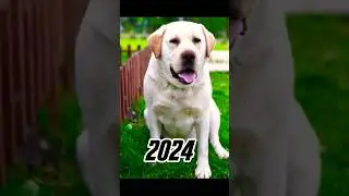 2023 dog 🐶 vs 5000 BCE dog 🐕 💥💥 #viral #shorts