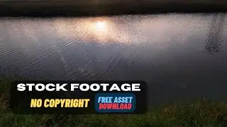 Sun Reflection on Water – Peaceful 4K Stock Footage (Free to Use)