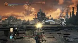 Dragonslayer VS Healer