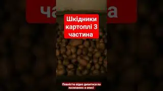 БОРОТЬБА З ШКІДНИКАМИ КАРТОПЛІ. ЗБІР ВРОЖАЮ КАРТОПЛІ ПІСЛЯ ВЕСНЯНИХ ЗАМОРОЗКІВ НА ПІВДНІ УКРАЇНИ