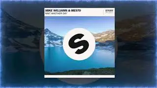 Wait another day - Mike Williams - 1 HOUR