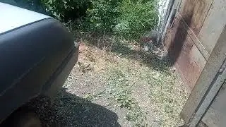 Как правильно и эффективно припарковать авто.