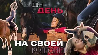 миниVLOG|день на моей конюшне|рутина
