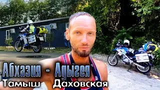 Абхазия - Адыгея. Новый Афон. Авария с коровой в Абхазии.
