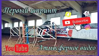 Первый шпринт / Атмосферное видео