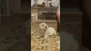 Говори!
