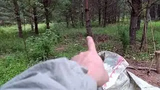 Грибы растут прямо/криво/по кругу вокруг дома.