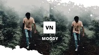 Moody dark lut pack | colour grading with luts on mobile ( VN video editor ) #vn #moodygrams