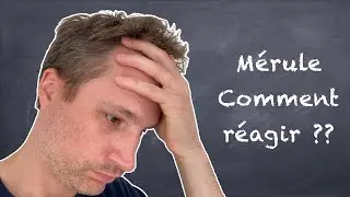 Une sombre histoire de mérule - BONUS