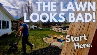 Lawn Fix  Why the lawn looks bad and WHERE to START