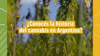 ¿Conocés la historia del cannabis en la Argentina?