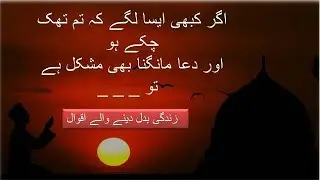 Motivational Urdu Quotes || Knowledge Time