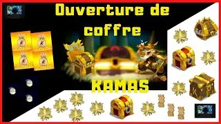 [FR] DOFUS. OUVERTURE DE COFFRE DE CHASSE AU TRÉSOR. ROSE DES SABLES ET KAMAS.