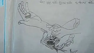 কৃষির ব্যবহারিক আঁকা ও লেখা গুলো SSC