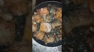 ЕДА ПО ПОНЯТИЯМ - КРАСНАЯ РЫБА 