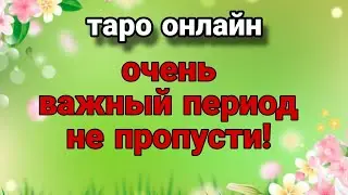 #таро ‼️Обращаем внимание на знаки/ #тароонлайн