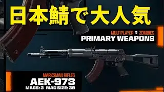 【CoD:BO6】PS5版実況#12 
