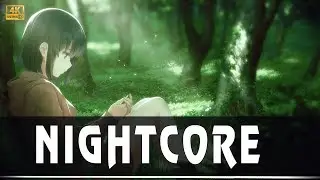 Nightcore -  Without You (Valcos & Chris Linton)| MOM - Miracle Of Music