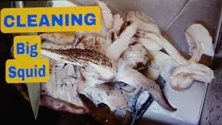 Big Squid| l Dala ni Crisson|Despidida ni ate Juliet Vea