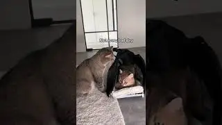 When you have a bad day...