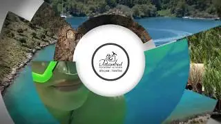 İstanbul Fotoğraf ve Video - Reklam Tanıtım logo reveal