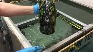 Electroluminescent paint system lumilor hydro dipped