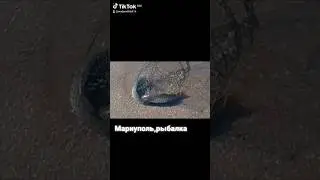 Эх,рыбалочка,рыбалка