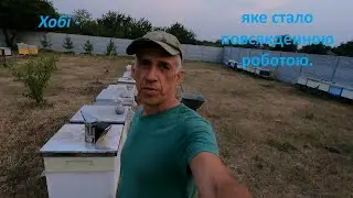 Хобі, яке стало повсякденною роботою.