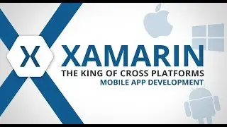 Effects in Xamarin.Forms