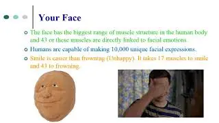 Interesting Facts about Human Body