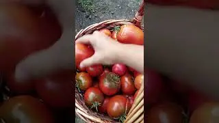 собираем 
