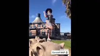 Gandalf WAP