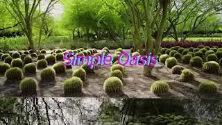 Simple (Kind of) Oasis | Legacy of Johnathan Connor and Matthew's Mom