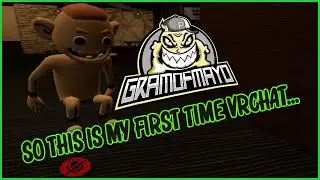 So This Is My First Time VrChat...