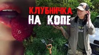 УДИВИТЕЛЬНАЯ НАХОДКА в поле, где полно соблазнов) Женский коп 2021!