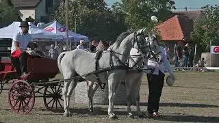 Fijakerijada 2024 RUMA - Vlada Knezevic