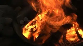 Campfire. Stock Footage