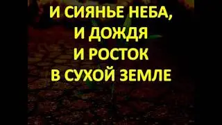 Ты меня наполни