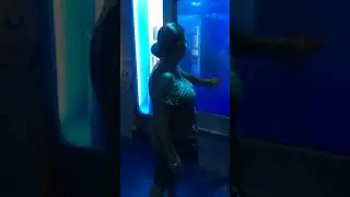 Skyrim: Sharkborn