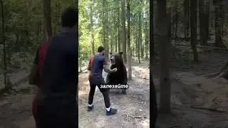 ⚔️🩸Лучшая защита от медведей