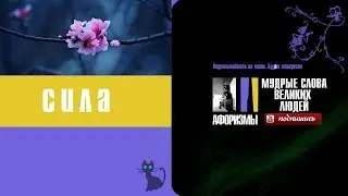 СИЛА Афоризмы  Мудрые слова великих людей