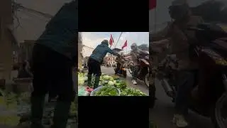 Sell vegetables in markets #harvest #harvesting #lythica #farmer #thanh