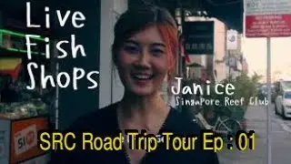 SRC Road trip Singapore marine fish shop tour 2021 - Ep: 01