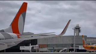 [X-Plane] Boeing 737-800 | [SBGR] - [SBRF] | FlyCheck Livestream