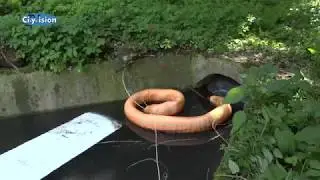 Diesel in der Niers