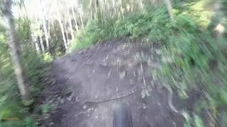 Decending From My Favorite Local Trail | Filmed With A $40 Action Camera (lmao)