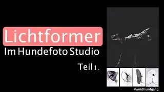 Lichtformer Einsatz bei der Hundefotografie im Studio Teil 1.