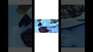 GO+